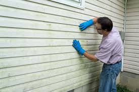 Trusted Ridge Manor, FL Siding Experts